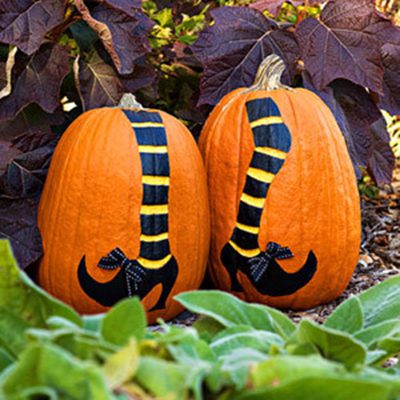 Avoid The Squishy Pumpkin No Carve Pumpkin Decorating Ideas