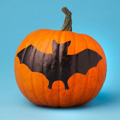 Avoid The Squishy Pumpkin No Carve Pumpkin Decorating Ideas